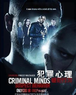 犯罪心理在线观看,揭秘罪案背后的心理轨迹