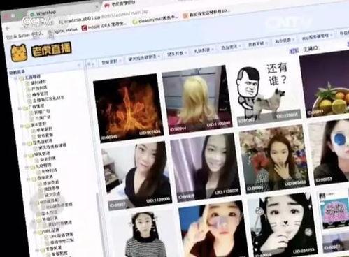 在线视频观看成人,在线视频视角下的成长轨迹