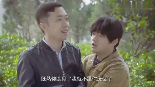 傻根进城在线观看免费,免费观看，笑翻你的城市生活之旅