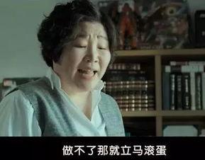 韩国继母在线观看,揭示家庭伦理的冲突与情感纠葛