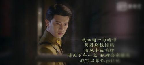 秋蝉在线观看,揭秘抗战岁月中的传奇英雄