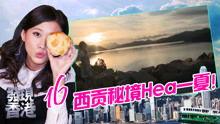 香港在线观看,在线观看新体验