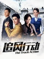 追风行动在线观看,在线揭秘惊险刺激的追踪之旅