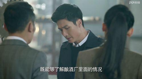 追风行动在线观看,在线揭秘惊险刺激的追踪之旅